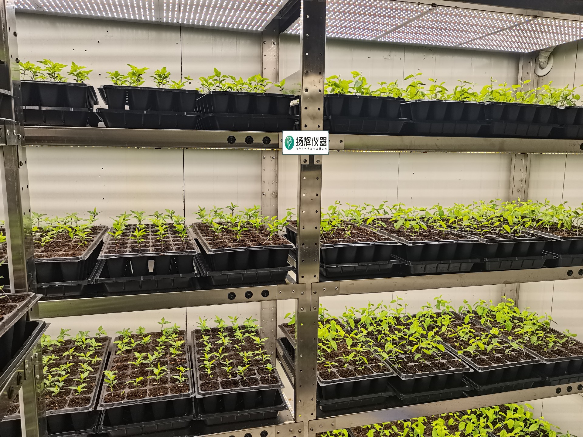 1668847512183724.jpg 1668847512183724.jpg